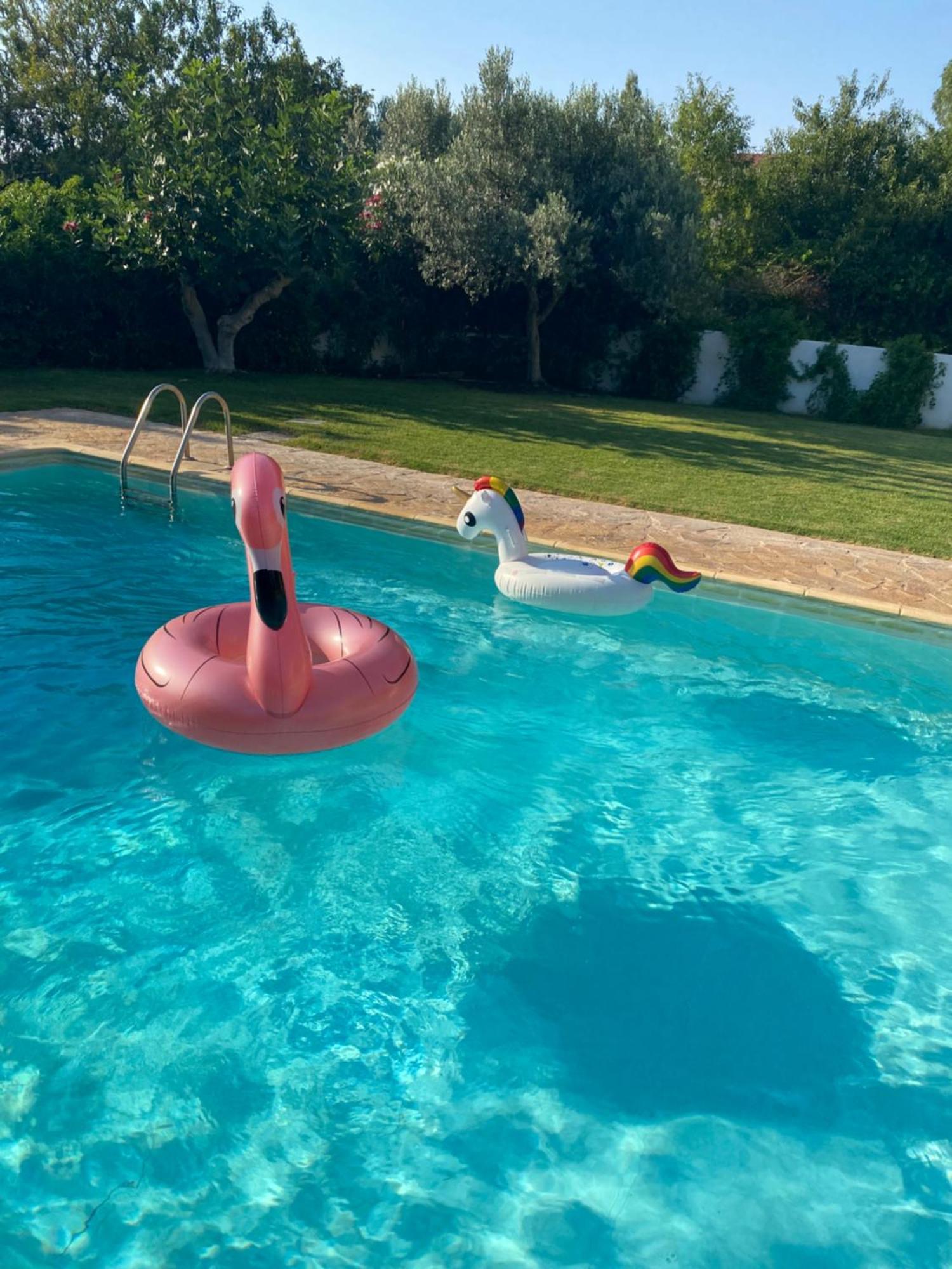Relaxing Villa With Swimming Pool And Garden Agios Georgios  Bagian luar foto