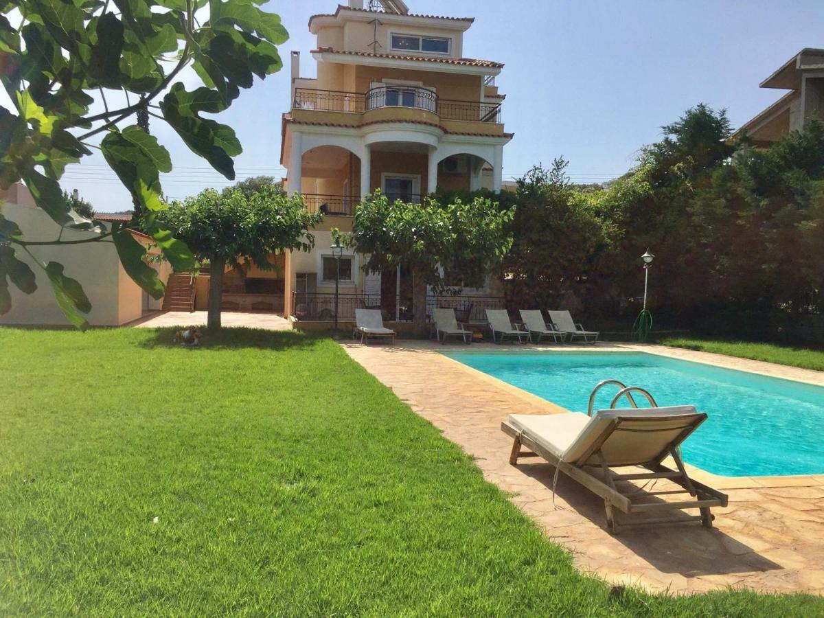 Relaxing Villa With Swimming Pool And Garden Agios Georgios  Bagian luar foto