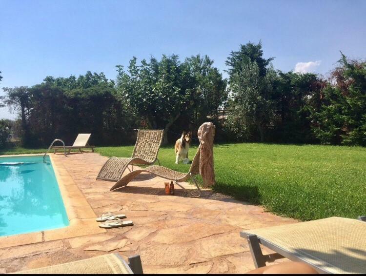 Relaxing Villa With Swimming Pool And Garden Agios Georgios  Bagian luar foto