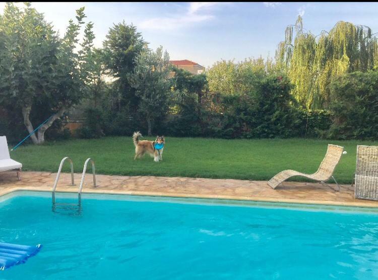 Relaxing Villa With Swimming Pool And Garden Agios Georgios  Bagian luar foto